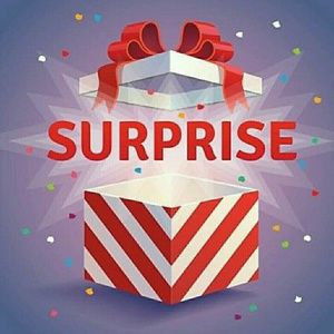 ** WOMENS PLUS SIZE SURPRISE BOX **